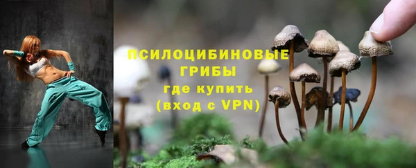 прущая мука Медногорск