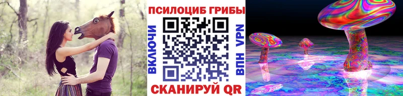 где купить   darknet формула  Псилоцибиновые грибы GOLDEN TEACHER  Мценск 