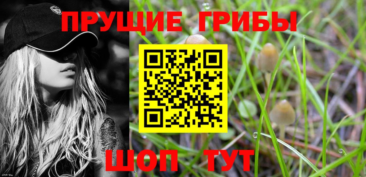 цена   Псилоцибиновые грибы Psilocybe  Вход с VPN  Мценск  Галлюциногенные грибы Cubensis 