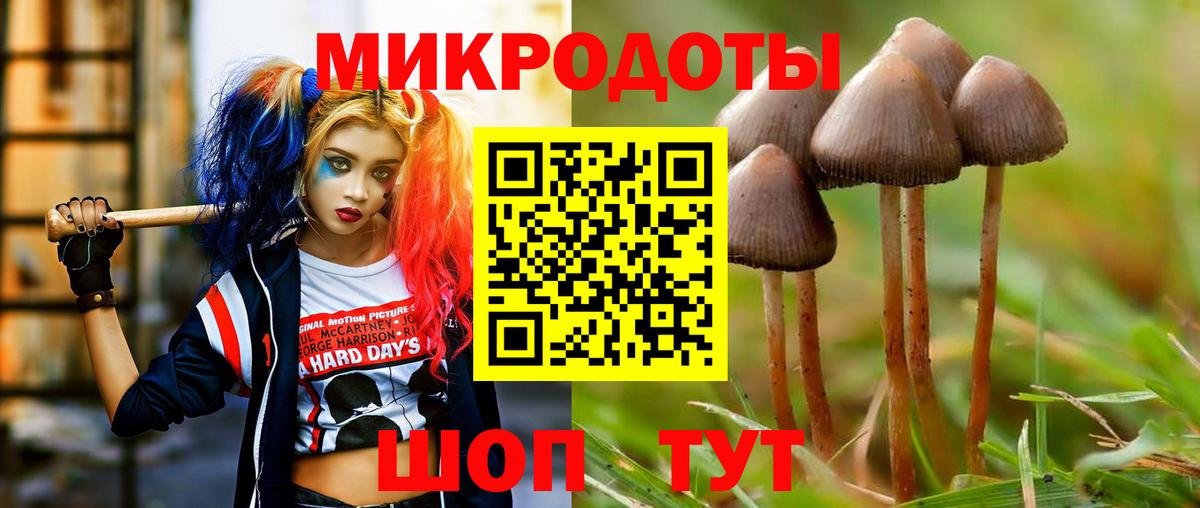 Псилоцибиновые грибы MAGIC MUSHROOMS Мценск